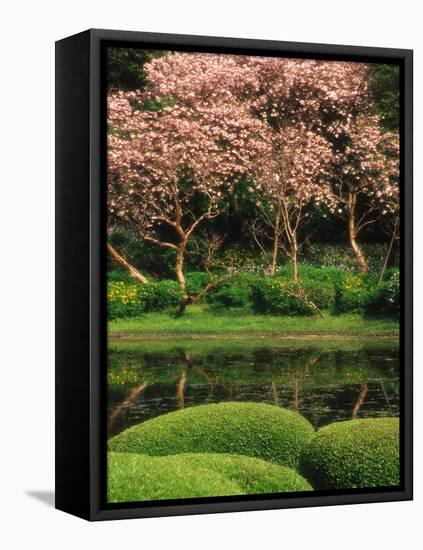 Reflecting Pond, Imperial Palace East Gardens, Tokyo, Japan-Nancy & Steve Ross-Framed Stretched Canvas