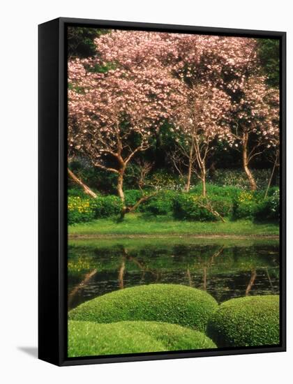 Reflecting Pond, Imperial Palace East Gardens, Tokyo, Japan-Nancy & Steve Ross-Framed Stretched Canvas