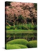 Reflecting Pond, Imperial Palace East Gardens, Tokyo, Japan-Nancy & Steve Ross-Stretched Canvas