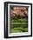 Reflecting Pond, Imperial Palace East Gardens, Tokyo, Japan-Nancy & Steve Ross-Framed Photographic Print