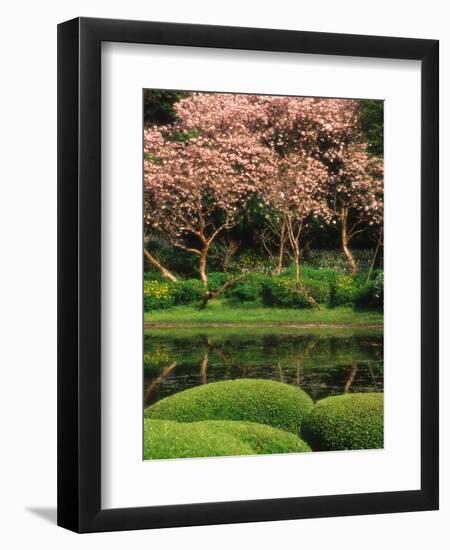 Reflecting Pond, Imperial Palace East Gardens, Tokyo, Japan-Nancy & Steve Ross-Framed Photographic Print