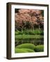 Reflecting Pond, Imperial Palace East Gardens, Tokyo, Japan-Nancy & Steve Ross-Framed Photographic Print