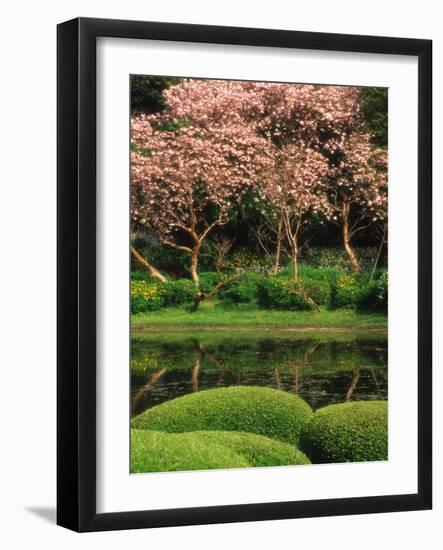 Reflecting Pond, Imperial Palace East Gardens, Tokyo, Japan-Nancy & Steve Ross-Framed Photographic Print