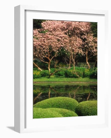 Reflecting Pond, Imperial Palace East Gardens, Tokyo, Japan-Nancy & Steve Ross-Framed Photographic Print