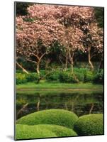 Reflecting Pond, Imperial Palace East Gardens, Tokyo, Japan-Nancy & Steve Ross-Mounted Photographic Print