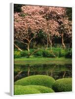 Reflecting Pond, Imperial Palace East Gardens, Tokyo, Japan-Nancy & Steve Ross-Framed Photographic Print