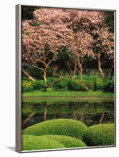Reflecting Pond, Imperial Palace East Gardens, Tokyo, Japan-Nancy & Steve Ross-Framed Photographic Print