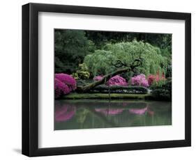 Reflecting pool and Rhododendrons in Japanese Garden, Seattle, Washington, USA-Jamie & Judy Wild-Framed Photographic Print