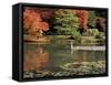 Reflecting Pool in Japanese Garden, Seattle, Washington, USA-Jamie & Judy Wild-Framed Stretched Canvas