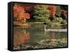 Reflecting Pool in Japanese Garden, Seattle, Washington, USA-Jamie & Judy Wild-Framed Stretched Canvas