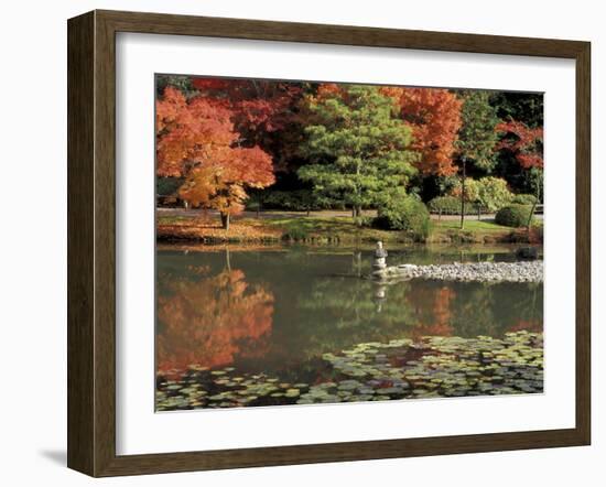 Reflecting Pool in Japanese Garden, Seattle, Washington, USA-Jamie & Judy Wild-Framed Photographic Print