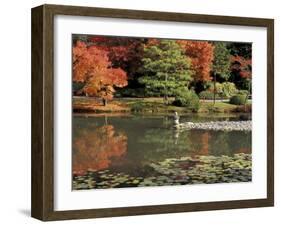 Reflecting Pool in Japanese Garden, Seattle, Washington, USA-Jamie & Judy Wild-Framed Photographic Print