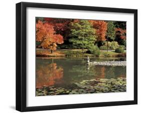 Reflecting Pool in Japanese Garden, Seattle, Washington, USA-Jamie & Judy Wild-Framed Photographic Print