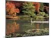 Reflecting Pool in Japanese Garden, Seattle, Washington, USA-Jamie & Judy Wild-Mounted Photographic Print