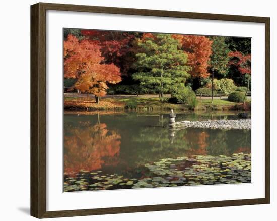 Reflecting Pool in Japanese Garden, Seattle, Washington, USA-Jamie & Judy Wild-Framed Photographic Print