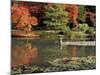 Reflecting Pool in Japanese Garden, Seattle, Washington, USA-Jamie & Judy Wild-Mounted Photographic Print