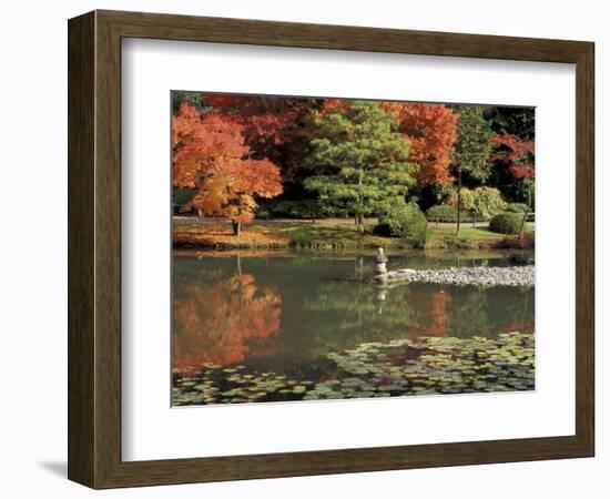 Reflecting Pool in Japanese Garden, Seattle, Washington, USA-Jamie & Judy Wild-Framed Photographic Print