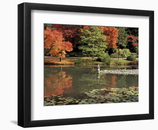 Reflecting Pool in Japanese Garden, Seattle, Washington, USA-Jamie & Judy Wild-Framed Photographic Print