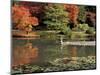 Reflecting Pool in Japanese Garden, Seattle, Washington, USA-Jamie & Judy Wild-Mounted Photographic Print