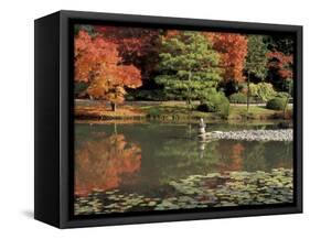 Reflecting Pool in Japanese Garden, Seattle, Washington, USA-Jamie & Judy Wild-Framed Stretched Canvas