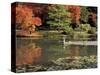 Reflecting Pool in Japanese Garden, Seattle, Washington, USA-Jamie & Judy Wild-Stretched Canvas