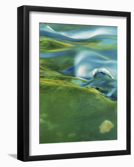 Reflecting waters of Blue Spring, Ozark National Scenic Riverways, Missouri, USA-Charles Gurche-Framed Photographic Print