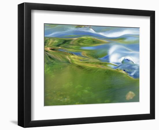 Reflecting waters of Blue Spring, Ozark National Scenic Riverways, Missouri, USA-Charles Gurche-Framed Photographic Print