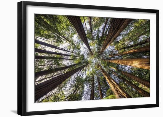 Reflection Above-Tom Mackie-Framed Giclee Print