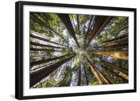 Reflection Above-Tom Mackie-Framed Giclee Print