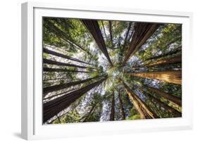 Reflection Above-Tom Mackie-Framed Giclee Print