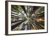 Reflection Above-Tom Mackie-Framed Giclee Print