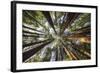 Reflection Above-Tom Mackie-Framed Giclee Print