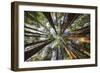 Reflection Above-Tom Mackie-Framed Giclee Print