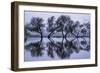 Reflection Ballet, Winter in Marin County, California-Vincent James-Framed Photographic Print