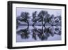 Reflection Ballet, Winter in Marin County, California-Vincent James-Framed Photographic Print