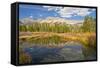 Reflection, Big Wood River, Autumn, Sawtooth NF, Idaho, USA-Michel Hersen-Framed Stretched Canvas