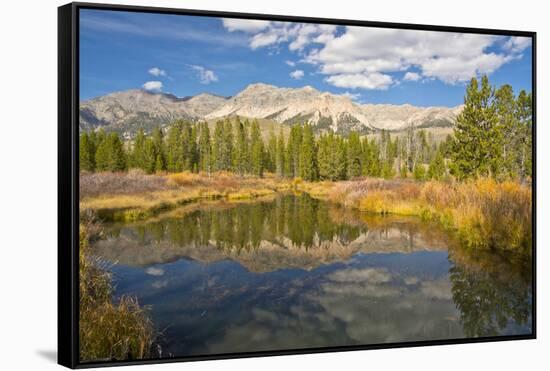 Reflection, Big Wood River, Autumn, Sawtooth NF, Idaho, USA-Michel Hersen-Framed Stretched Canvas