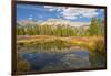 Reflection, Big Wood River, Autumn, Sawtooth NF, Idaho, USA-Michel Hersen-Framed Photographic Print