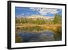 Reflection, Big Wood River, Autumn, Sawtooth NF, Idaho, USA-Michel Hersen-Framed Photographic Print