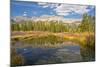 Reflection, Big Wood River, Autumn, Sawtooth NF, Idaho, USA-Michel Hersen-Mounted Photographic Print