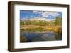 Reflection, Big Wood River, Autumn, Sawtooth NF, Idaho, USA-Michel Hersen-Framed Photographic Print