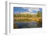 Reflection, Big Wood River, Autumn, Sawtooth NF, Idaho, USA-Michel Hersen-Framed Photographic Print