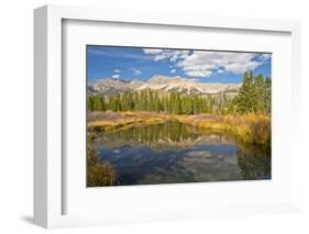 Reflection, Big Wood River, Autumn, Sawtooth NF, Idaho, USA-Michel Hersen-Framed Photographic Print