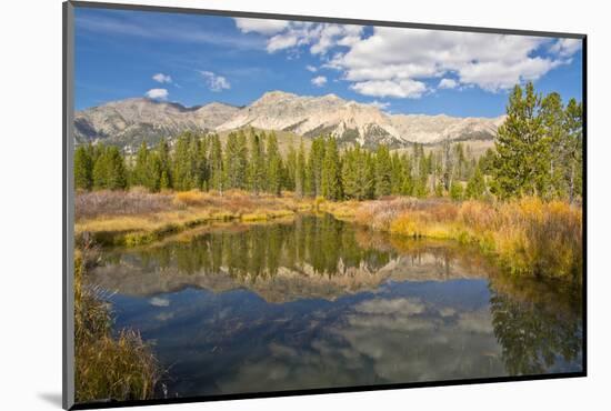 Reflection, Big Wood River, Autumn, Sawtooth NF, Idaho, USA-Michel Hersen-Mounted Photographic Print