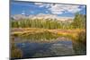 Reflection, Big Wood River, Autumn, Sawtooth NF, Idaho, USA-Michel Hersen-Mounted Photographic Print
