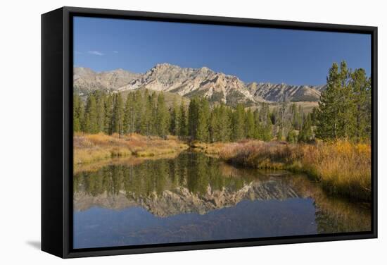 Reflection, Big Wood River, Autumn, Sawtooth NF,  Idaho, USA-Michel Hersen-Framed Stretched Canvas