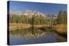 Reflection, Big Wood River, Autumn, Sawtooth NF,  Idaho, USA-Michel Hersen-Stretched Canvas