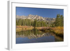 Reflection, Big Wood River, Autumn, Sawtooth NF,  Idaho, USA-Michel Hersen-Framed Photographic Print