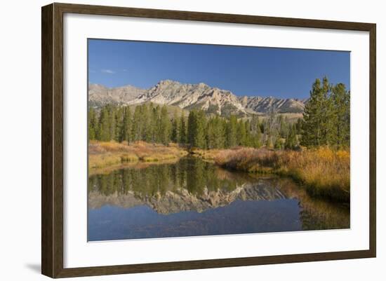 Reflection, Big Wood River, Autumn, Sawtooth NF,  Idaho, USA-Michel Hersen-Framed Photographic Print