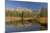 Reflection, Big Wood River, Autumn, Sawtooth NF,  Idaho, USA-Michel Hersen-Mounted Photographic Print
